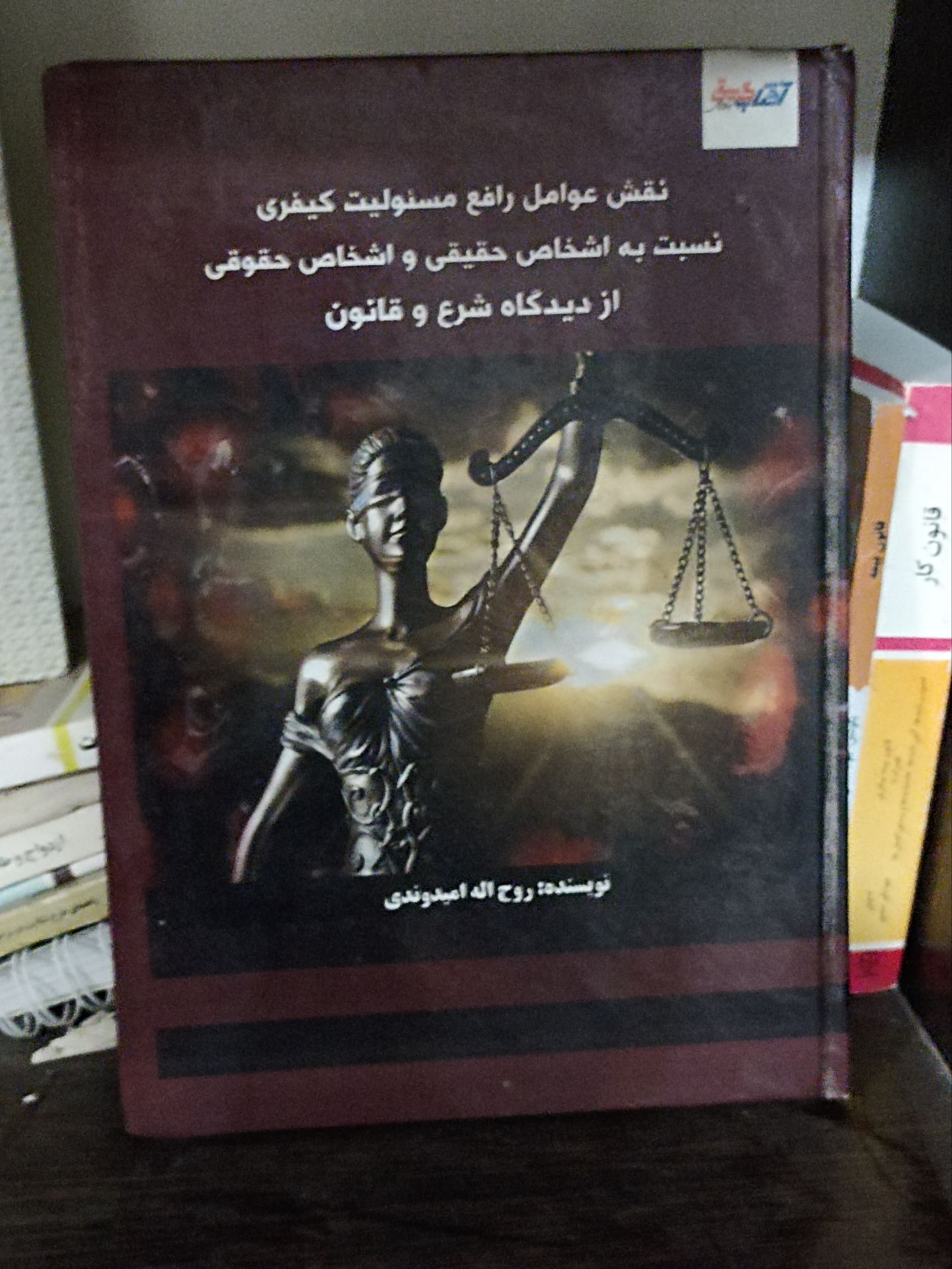 روح الله امیدوندی - تصویر ۲