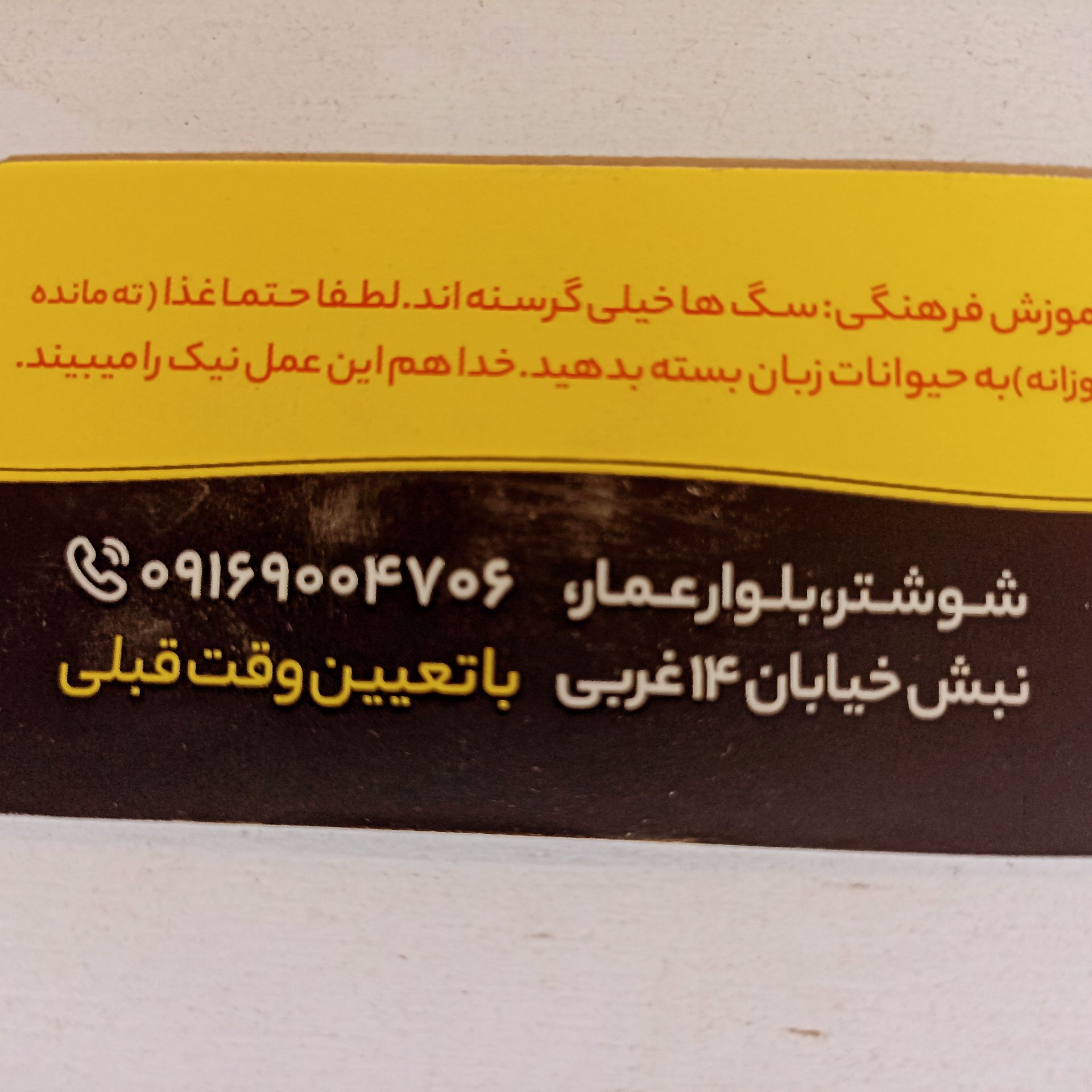 روح الله امیدوندی - تصویر ۳