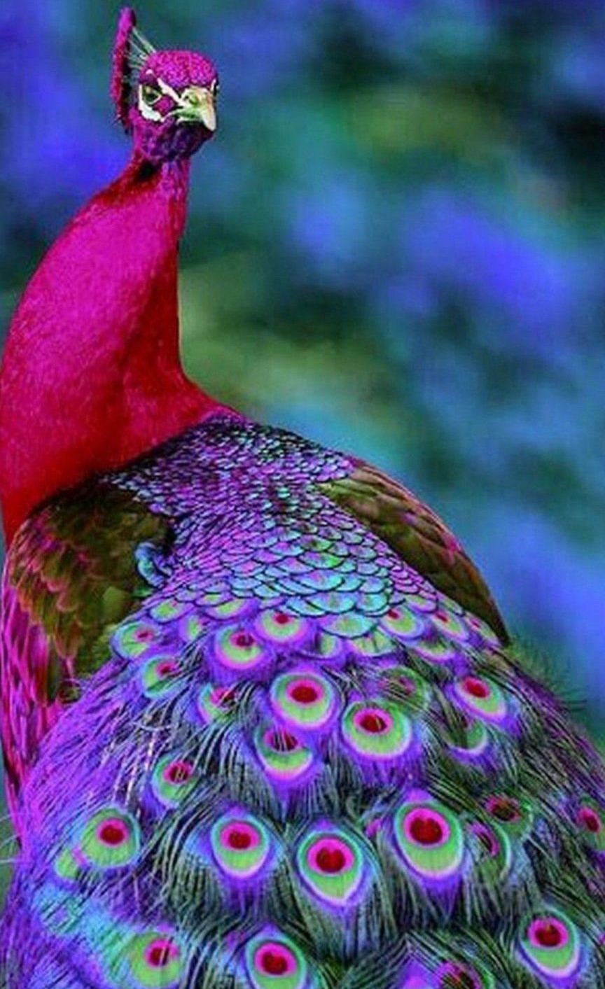 روح الله امیدوندی - تصویر ۳